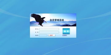 廣州直銷軟件開發丨互助系統開發丨虛擬貨幣系統開發