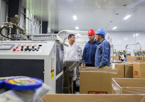 國網焦作供電公司 優化營商環境 當好服務先鋒